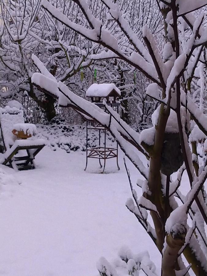 Bellairis Igersheim